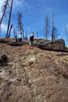 Compacted caldera-fill tuff within the Tower Mountain Caldera.