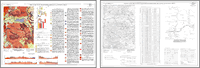 Geological Map Series image