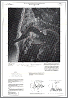 Interpretive Map Series image