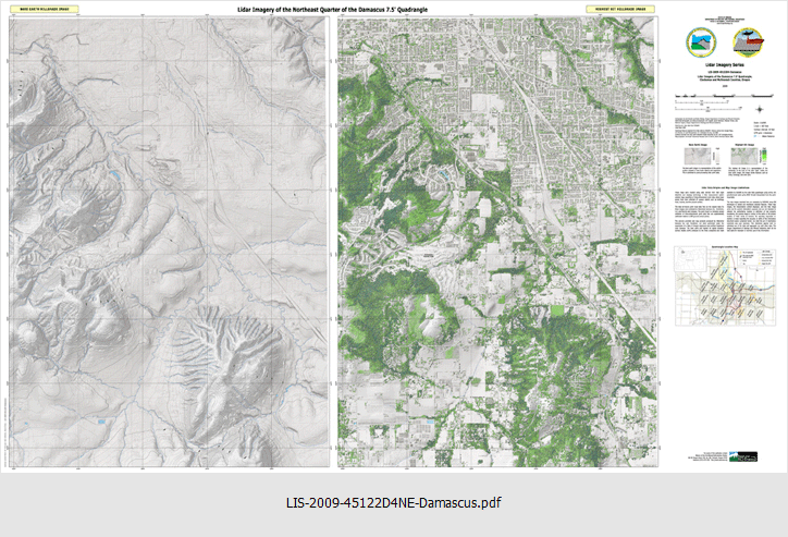 LIS-2009-45122D4NE-Damascus NE
