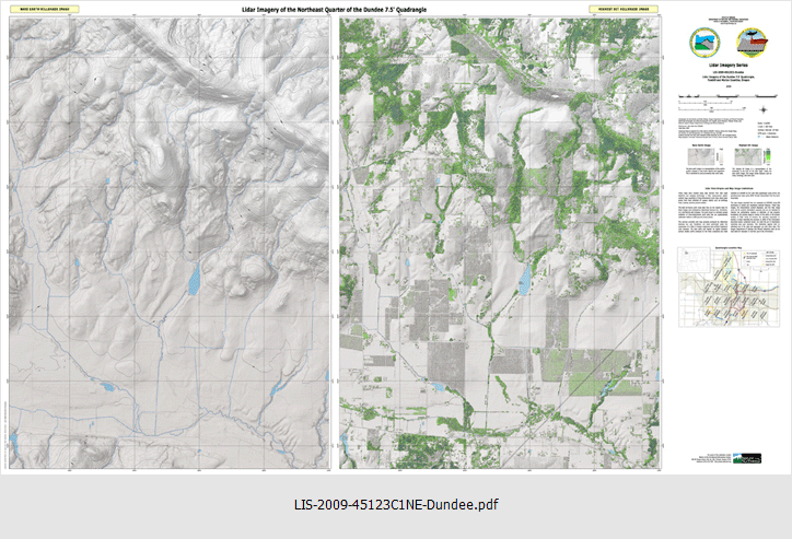 LIS-2009-45123C1-Dundee NE