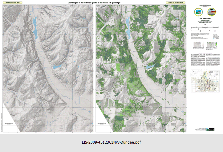 LIS-2009-45123C1-Dundee NW