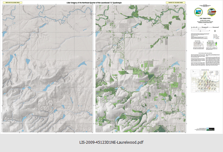 LIS-2009-45123D1-Laurelwood NE