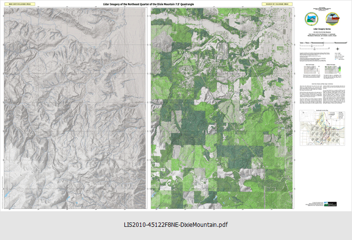 p-LIS-2010-45122F8-DixieMountain NE