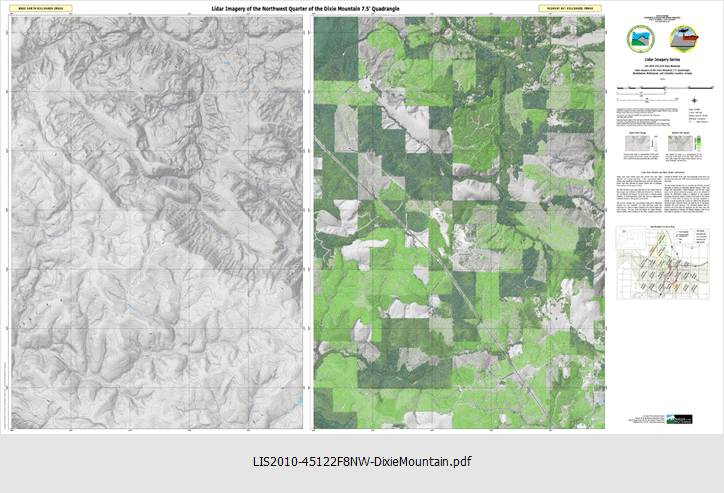 p-LIS-2010-45122F8-DixieMountain NW