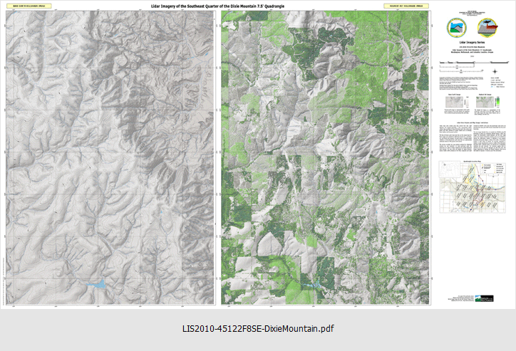 p-LIS-2010-45122F8-DixieMountain SE