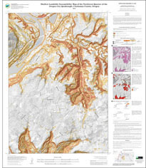 shallow landslide susceptibility map