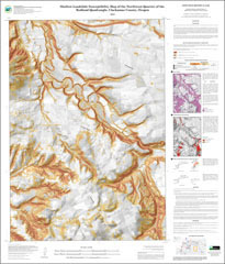 shallow landslide susceptibility map