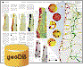 Open-File Report image