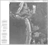 Open-File Report image